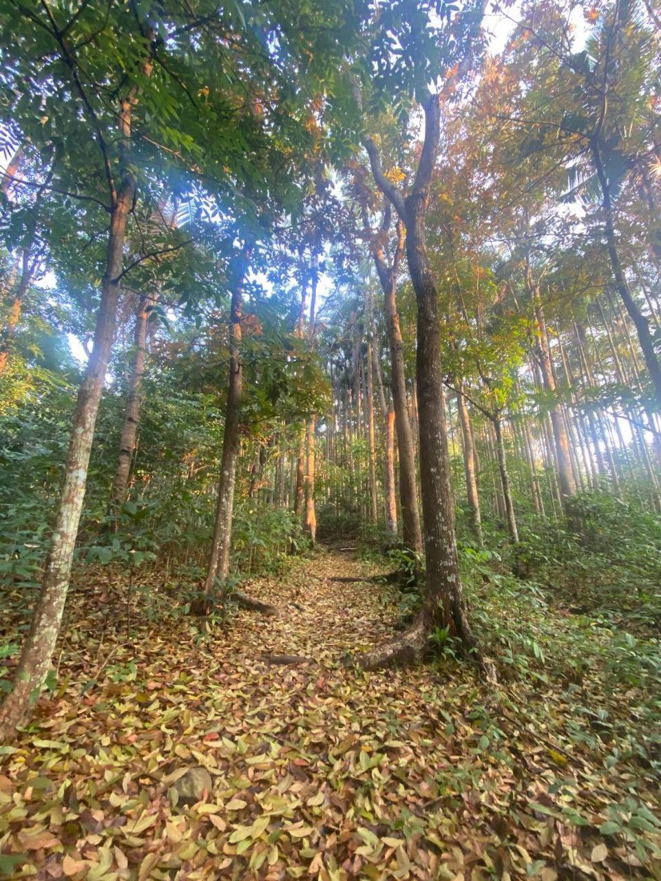 Momarco Forest Cove Tanay Exterior photo